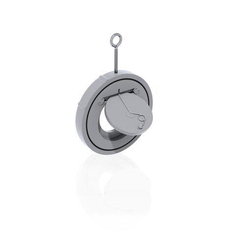 Immagine di FROAC - Valvola di ritegno spring A316 in PVC-C