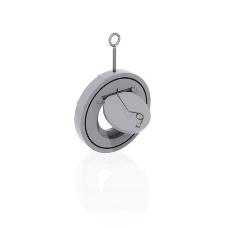 Immagine di FROAC - Valvola di ritegno Hastelloy in PVC-C